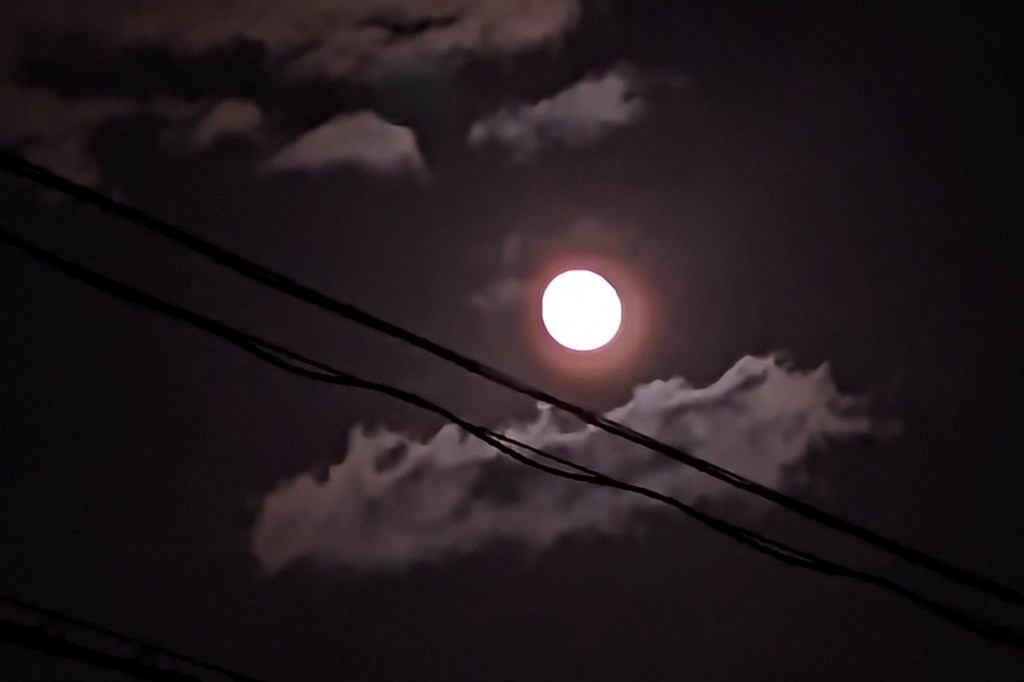 トラブルなく1500グラムこえました💪